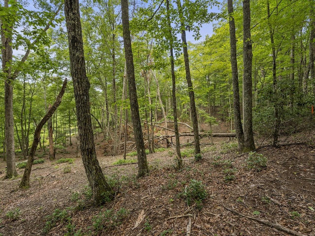 TRACT11 Eagle Rock Rd, Monteagle, TN 37356 - photo 26