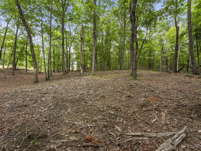 TRACT11 Eagle Rock Rd, Monteagle, TN 37356 - photo 15