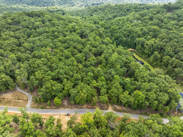 TRACT11 Eagle Rock Rd, Monteagle, TN 37356 - photo 4