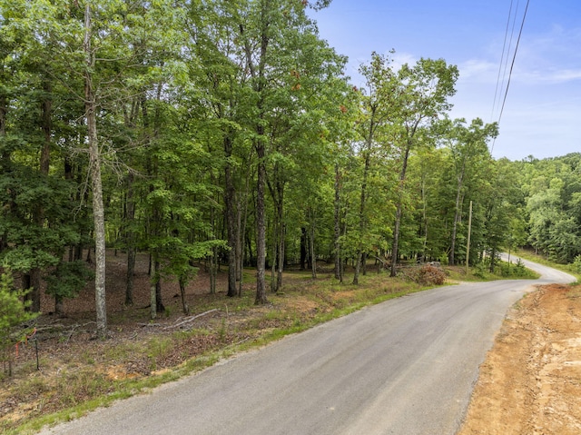 TRACT11 Eagle Rock Rd, Monteagle, TN 37356 - photo 30