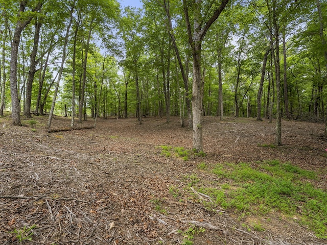 TRACT11 Eagle Rock Rd, Monteagle, TN 37356 - photo 28
