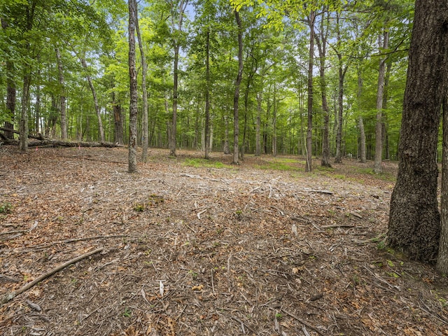 TRACT11 Eagle Rock Rd, Monteagle, TN 37356 - photo 16