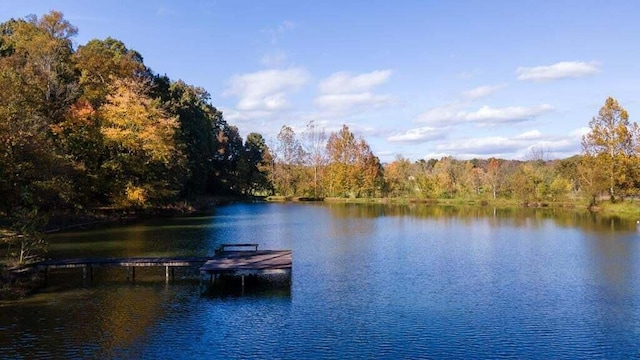 property view of water featuring a dock