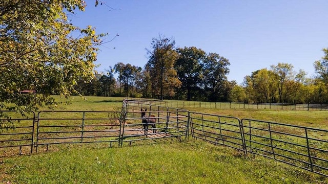 view of yard with a rural view