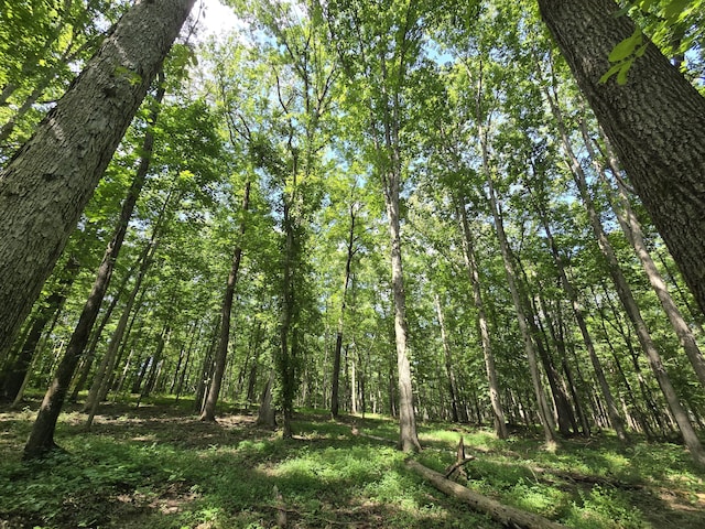0 York Rd, Ocoee, TN 37361 - photo 7