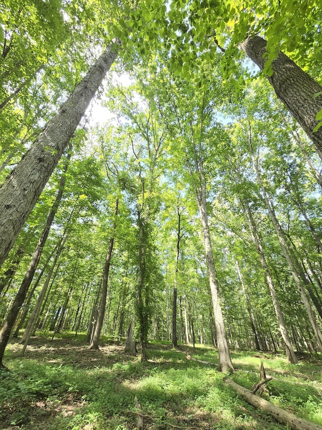 0 York Rd, Ocoee, TN 37361 - photo 8