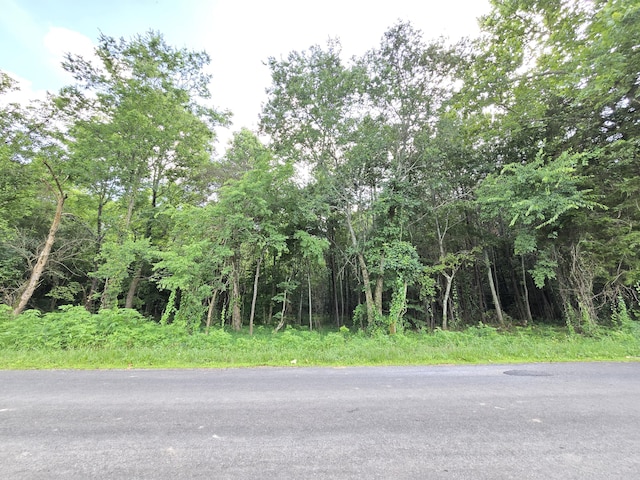 0 York Rd, Ocoee, TN 37361 - photo 3