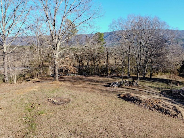 view of yard with a mountain view