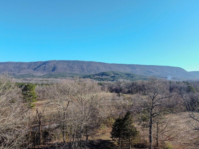 view of mountain feature