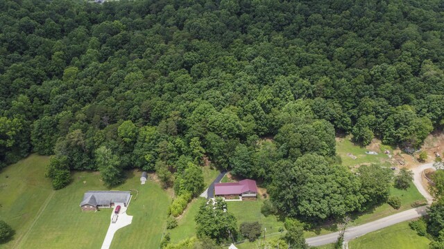 181 Little Johnson Valley Rd, Kingston, TN 37763 - photo 35