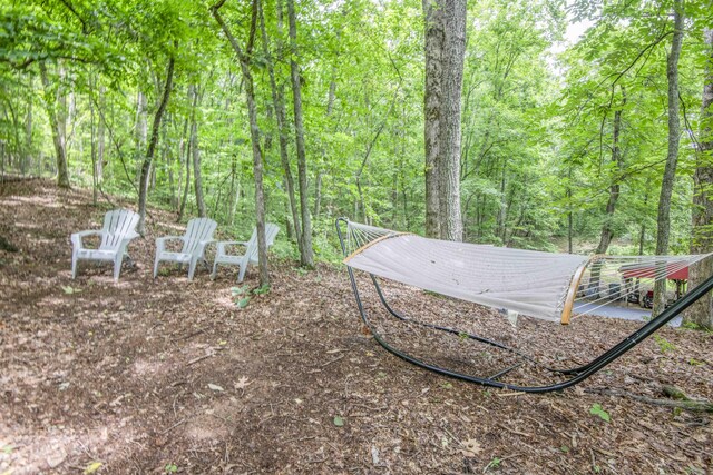 181 Little Johnson Valley Rd, Kingston, TN 37763 - photo 38