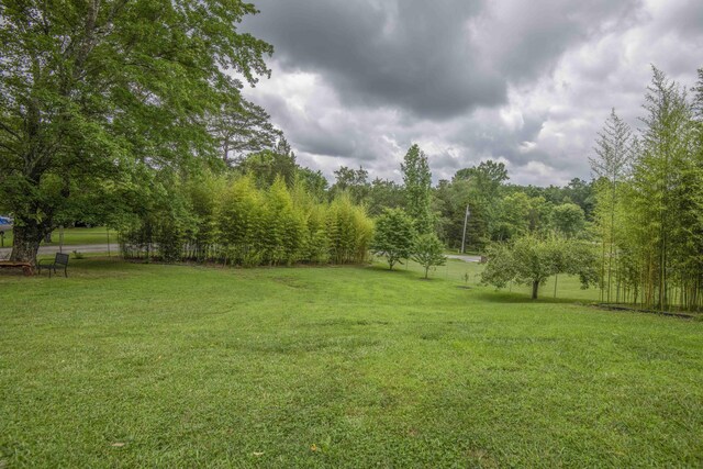 181 Little Johnson Valley Rd, Kingston, TN 37763 - photo 42