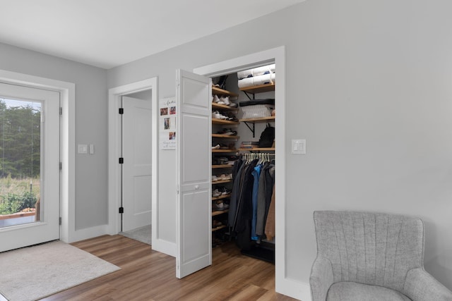 view of closet