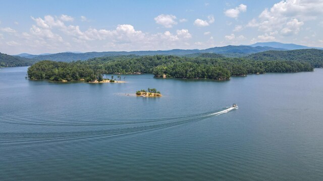 TRACT1 Welcome Valley Rd, Benton, TN 37307