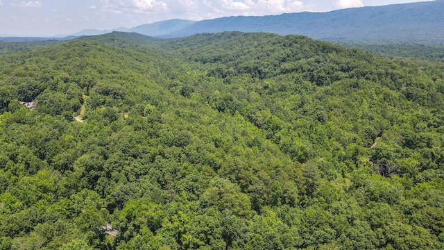 TRACT1 Welcome Valley Rd, Benton, TN 37307