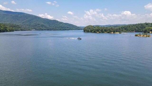 TRACT1 Welcome Valley Rd, Benton, TN 37307 - photo 33