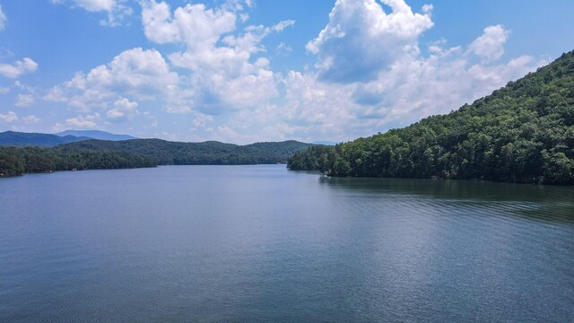 TRACT1 Welcome Valley Rd, Benton, TN 37307