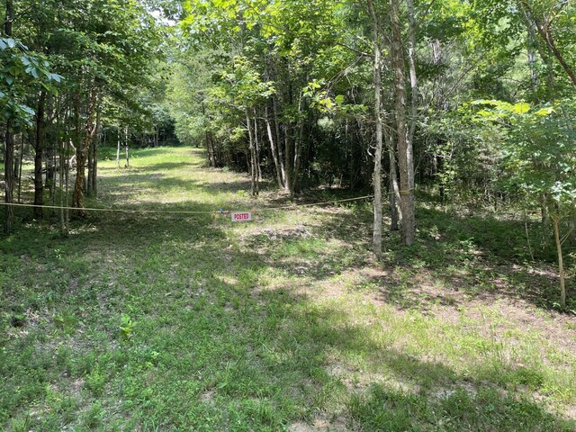 TRACT1 Welcome Valley Rd, Benton, TN 37307