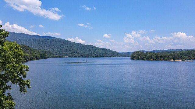TRACT1 Welcome Valley Rd, Benton, TN 37307