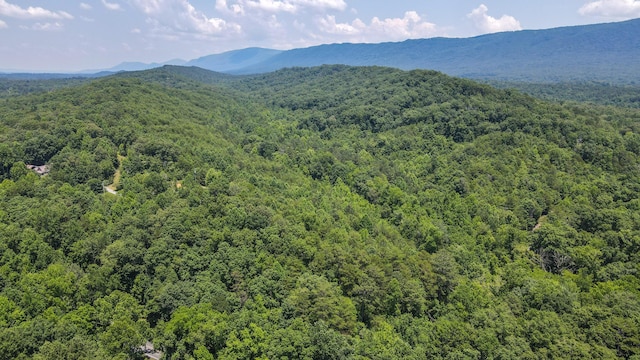 TRACT1 Welcome Valley Rd, Benton, TN 37307