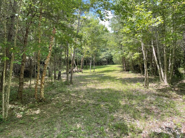 TRACT1 Welcome Valley Rd, Benton, TN 37307 - photo 4