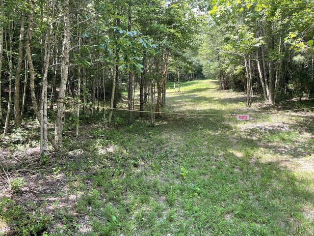TRACT1 Welcome Valley Rd, Benton, TN 37307 - photo 5