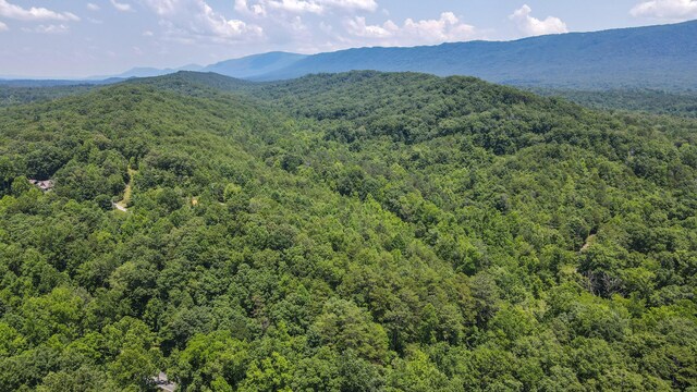TRACT1 Welcome Valley Rd, Benton, TN 37307