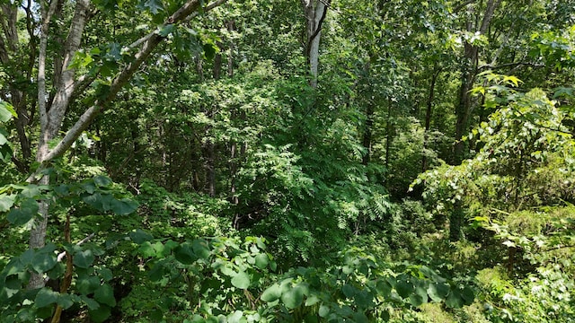 000 Chestuee Dr NE, Cleveland, TN 37323 - photo 6
