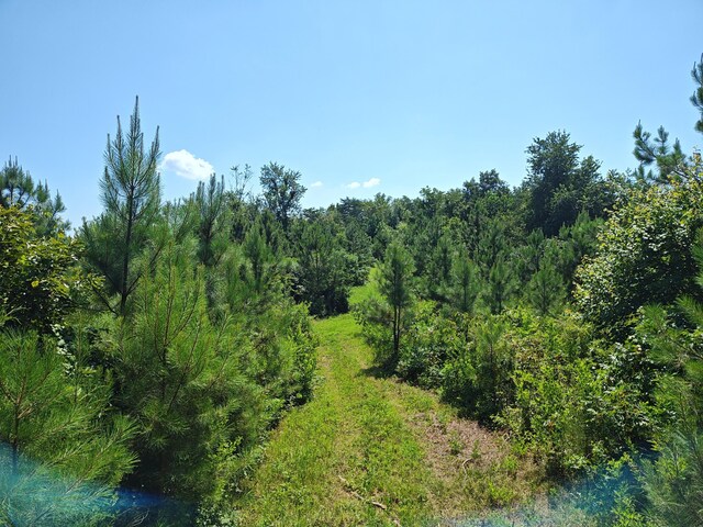 44ACRES Hiwassee Hwy, Dayton, TN 37321 - photo 27