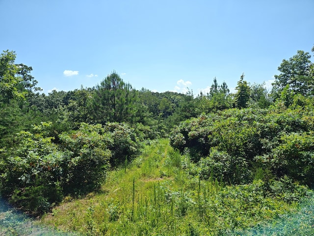 44ACRES Hiwassee Hwy, Dayton, TN 37321 - photo 25