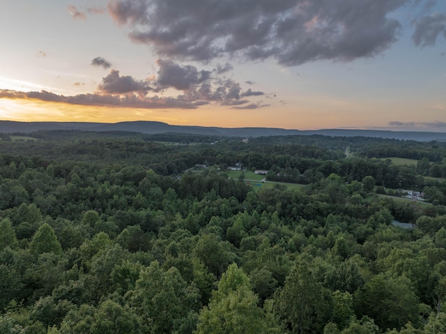 44ACRES Hiwassee Hwy, Dayton, TN 37321 - photo 2