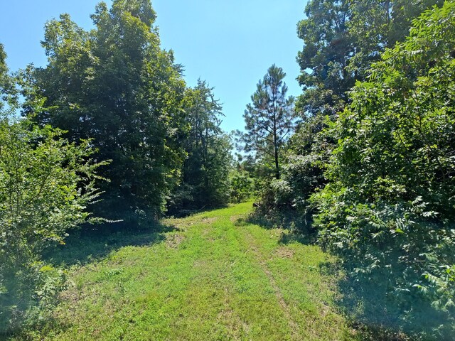 44ACRES Hiwassee Hwy, Dayton, TN 37321 - photo 16