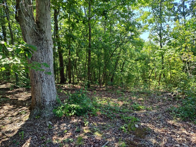 44ACRES Hiwassee Hwy, Dayton, TN 37321 - photo 18