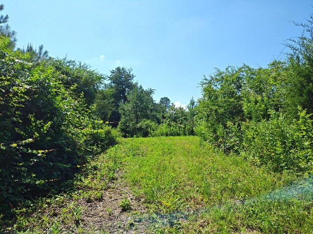 44ACRES Hiwassee Hwy, Dayton, TN 37321 - photo 11