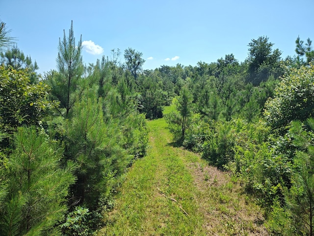 44ACRES Hiwassee Hwy, Dayton, TN 37321 - photo 20