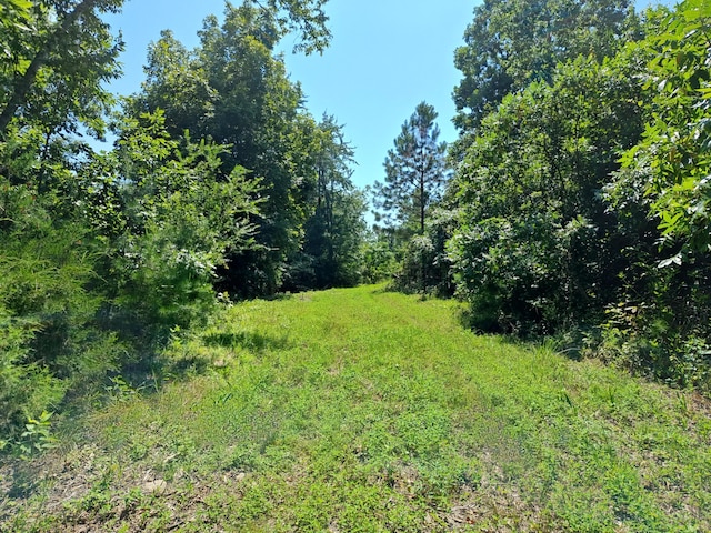 44ACRES Hiwassee Hwy, Dayton, TN 37321 - photo 22