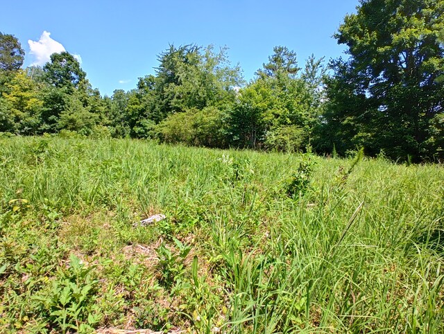 44ACRES Hiwassee Hwy, Dayton, TN 37321 - photo 28