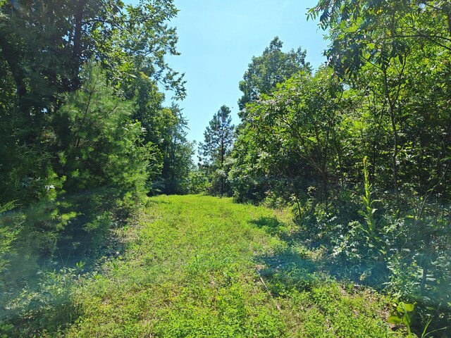 44ACRES Hiwassee Hwy, Dayton, TN 37321 - photo 14