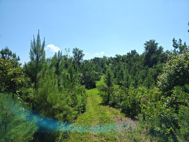 44ACRES Hiwassee Hwy, Dayton, TN 37321 - photo 12