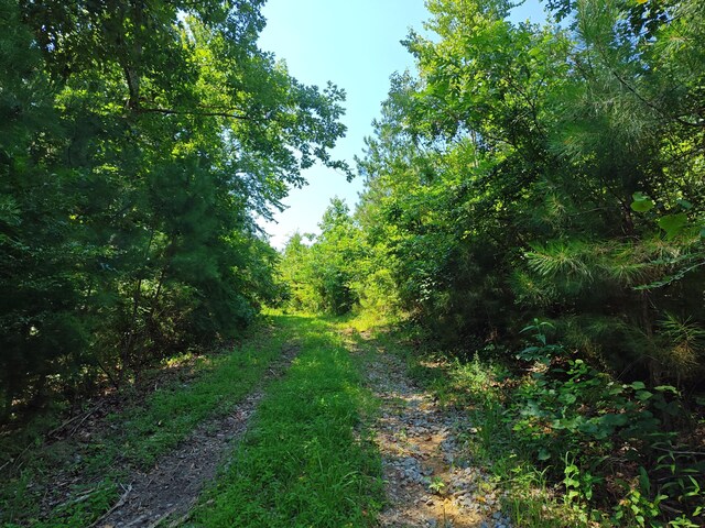 44ACRES Hiwassee Hwy, Dayton, TN 37321 - photo 19