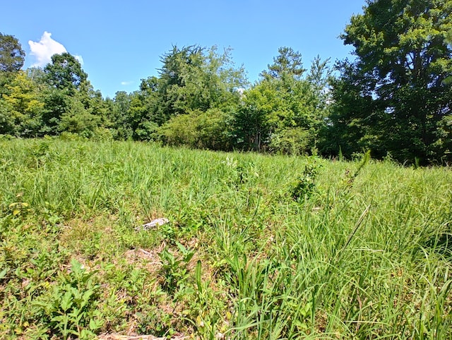 44ACRES Hiwassee Hwy, Dayton, TN 37321 - photo 29