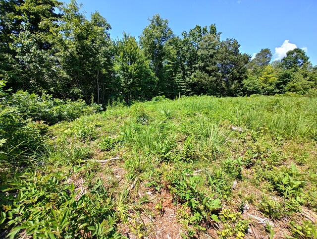 44ACRES Hiwassee Hwy, Dayton, TN 37321 - photo 23