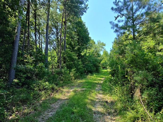44ACRES Hiwassee Hwy, Dayton, TN 37321 - photo 10