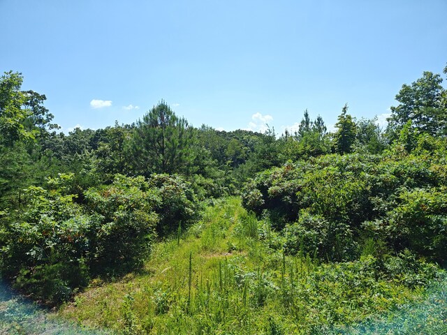 44ACRES Hiwassee Hwy, Dayton, TN 37321 - photo 24