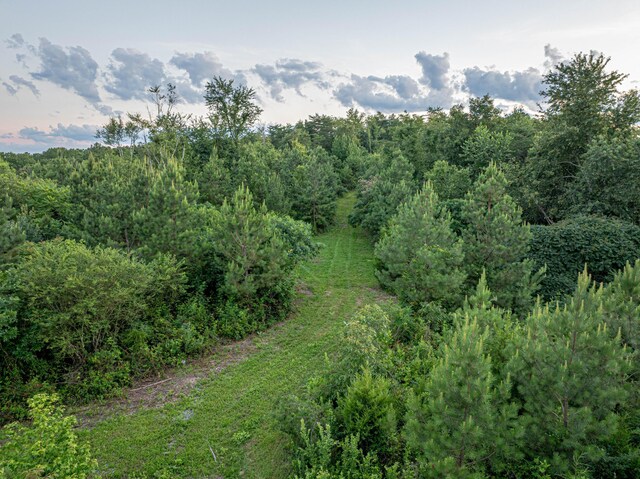 44ACRES Hiwassee Hwy, Dayton, TN 37321 - photo 7