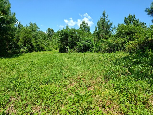 44ACRES Hiwassee Hwy, Dayton, TN 37321 - photo 13