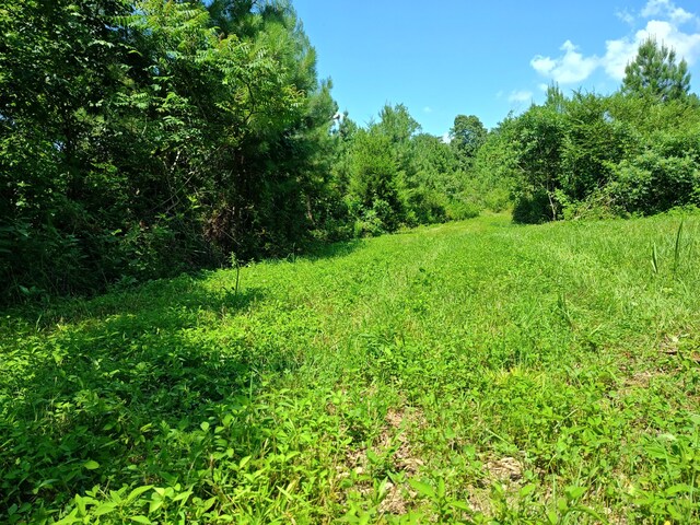 44ACRES Hiwassee Hwy, Dayton, TN 37321 - photo 21