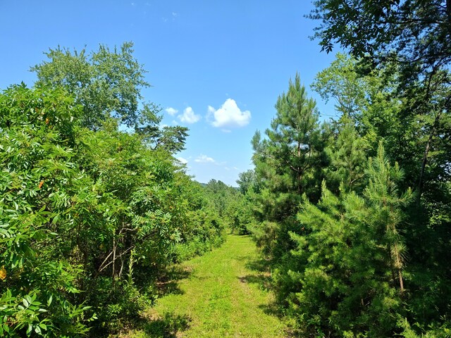 44ACRES Hiwassee Hwy, Dayton, TN 37321 - photo 15