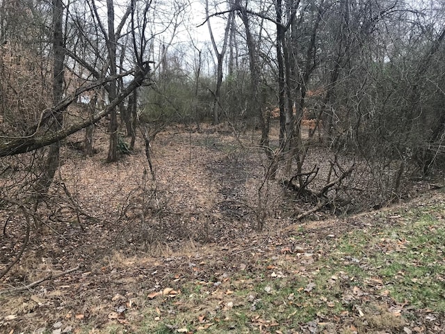 LOT50 Cherokee Cir, Ten Mile TN, 37880 land for sale