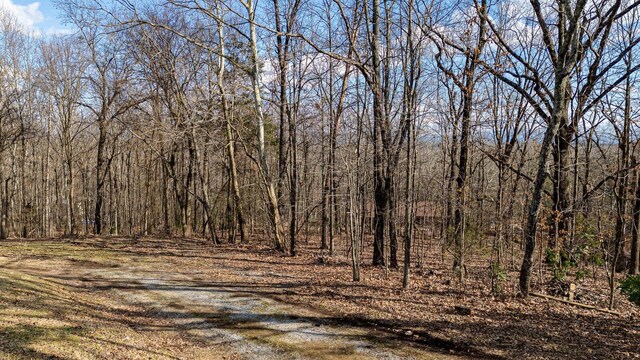 0 Live Oak Trl NE, Cleveland, TN 37312 - photo 5